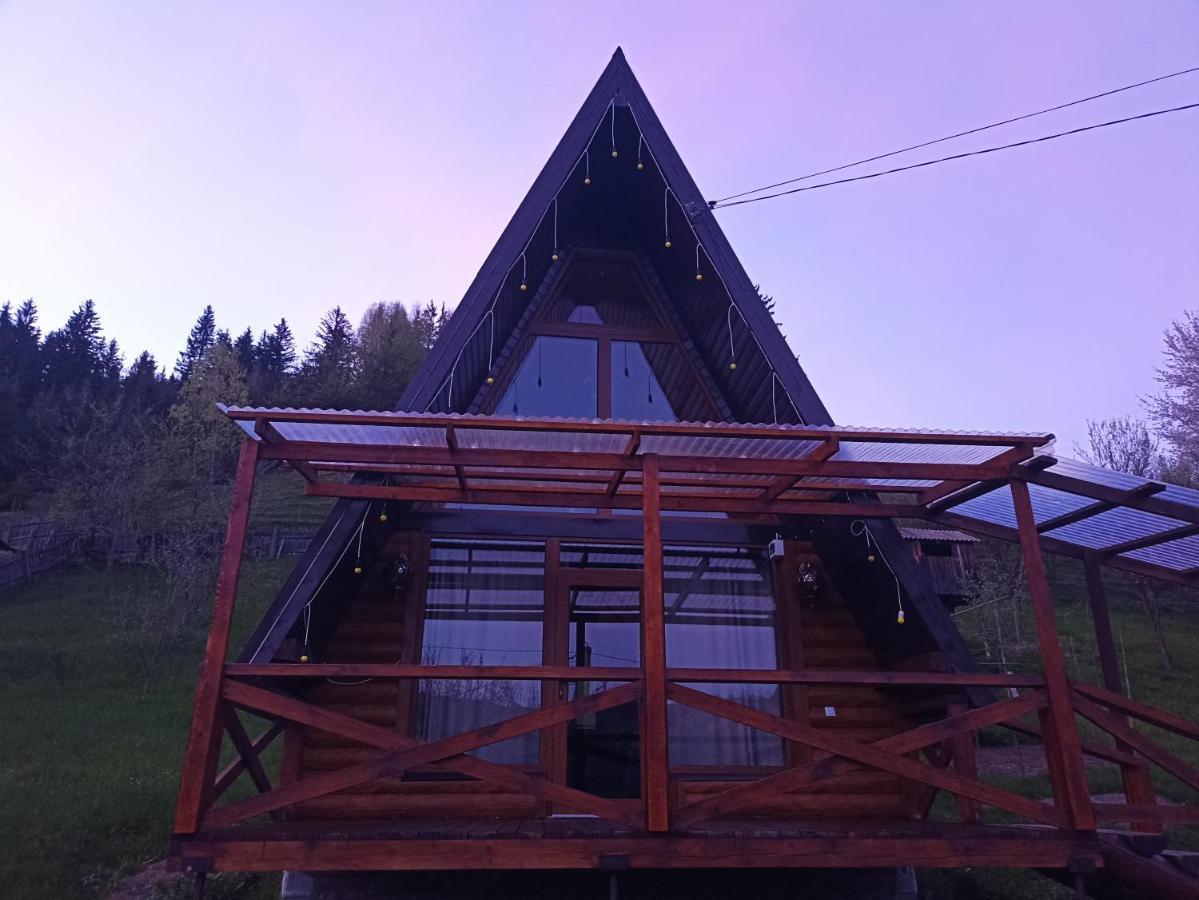 Sadyba Lileya Verkhovyna Bagian luar foto