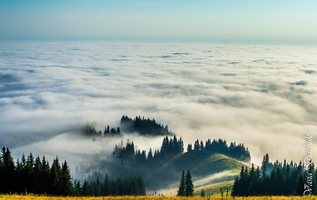 Sadyba Lileya Verkhovyna Bagian luar foto