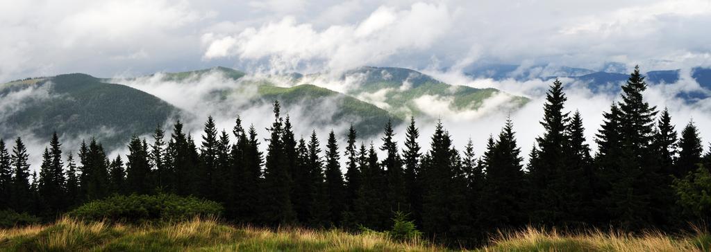 Sadyba Lileya Verkhovyna Bagian luar foto